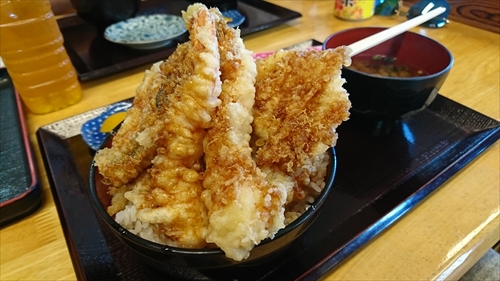 16日・海鮮食堂太陽の天丼がデカ過ぎた！